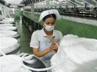 Nhà đầu tư nhìn vào... đất để mua cổ phiếu của doanh nghiệp dệt may. 